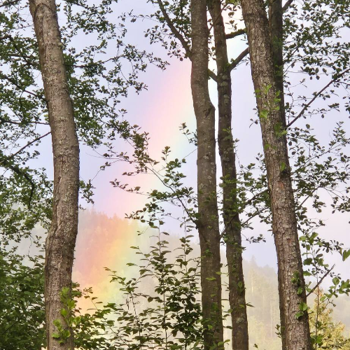 GROWNi project image