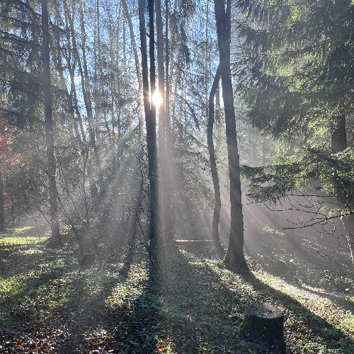 GROWNi project image