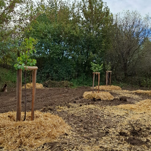 Pomôž nám zviditeľniť enviro-projekty! (Grafika v Canve & Sociálne siete)