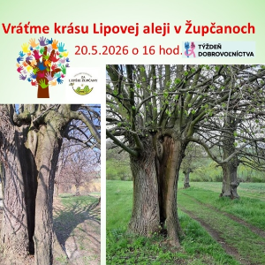 Vráťme krásu Lipovej aleji v Župčanoch