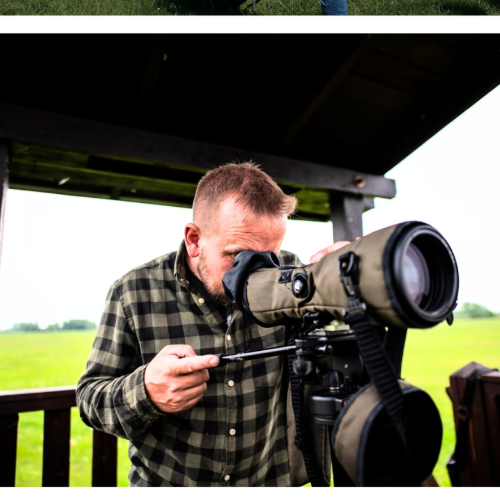 Ochranársky monitoring vtáctva