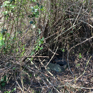 Očistenie okolia starej studničky a jej sprístupnenie. Záchrana Vajnorských vinohradov.
