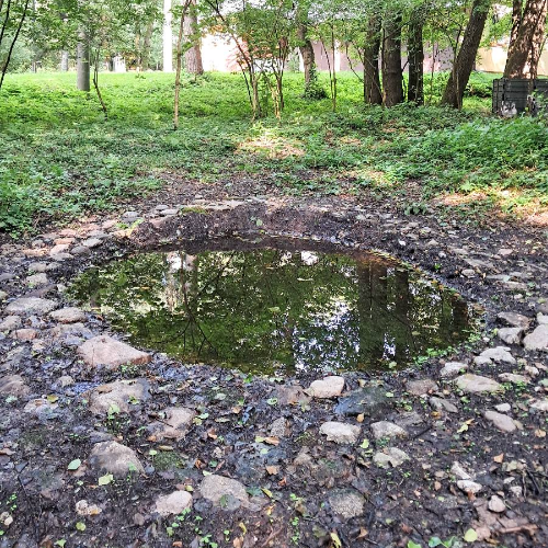 GROWNi project image