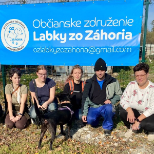 Spoločné venčenie v OZ Labky zo Záhoria Čáry