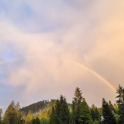 GROWNi project image