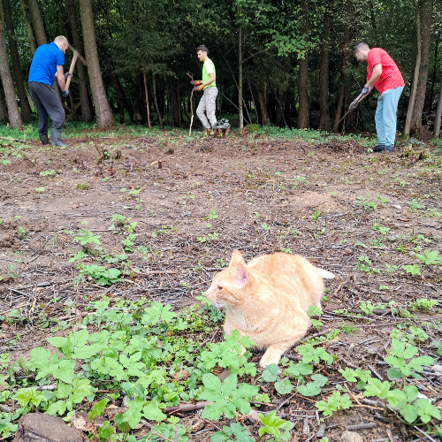 GROWNi project image