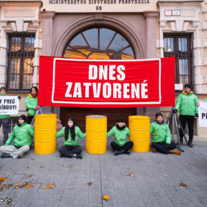 Staň sa aktivistom/aktivistkou: TERAZ JE NAJLEPŠÍ ČAS NA OCHRANU NAŠEJ PLANÉTY!