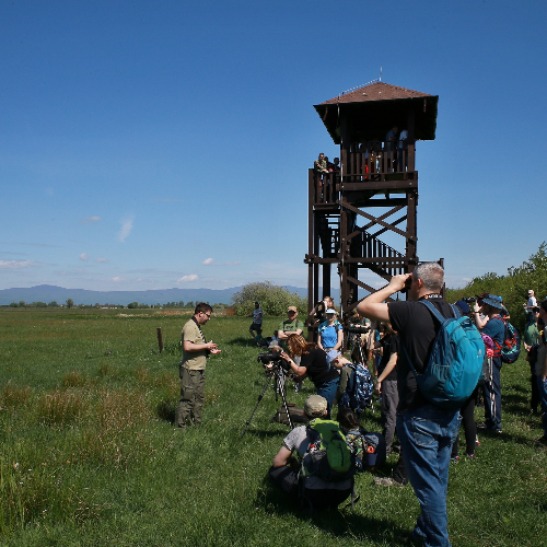 Vítanie žeriavov 2026