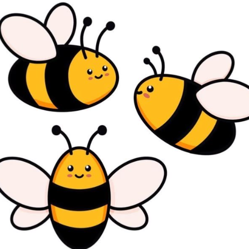 Centrum včasnej intervencie Trnava, n.o.