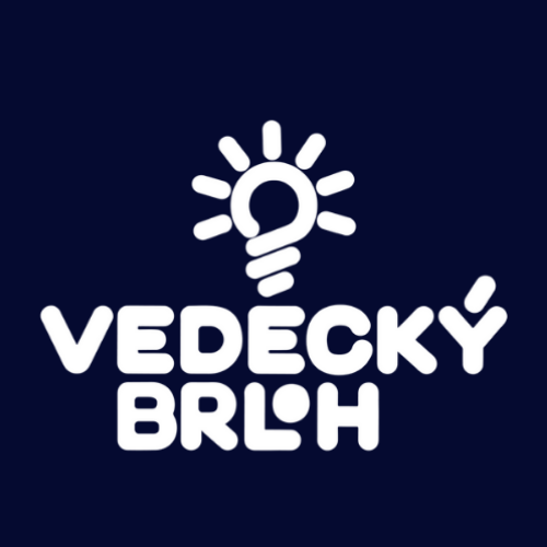 Video maker a social media manažér/ka