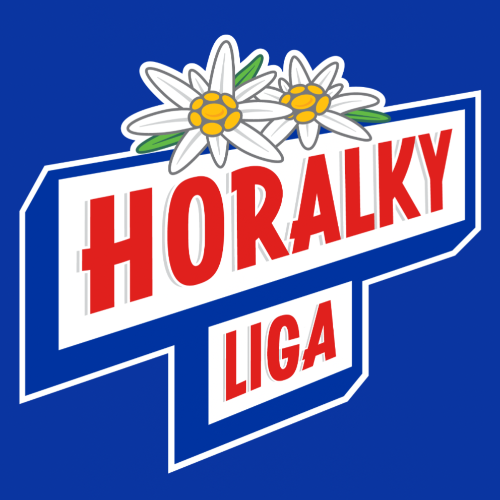 Fotograf na podujatí