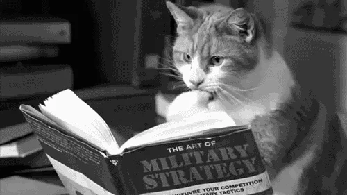 A cat reading a book titled The Art of Military Strategy.