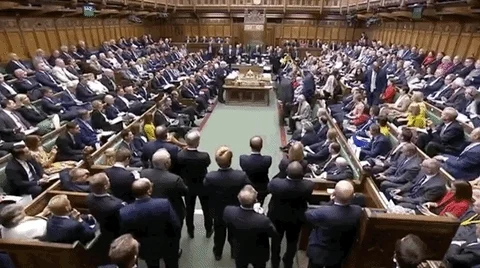 A house or parliament full of representatives