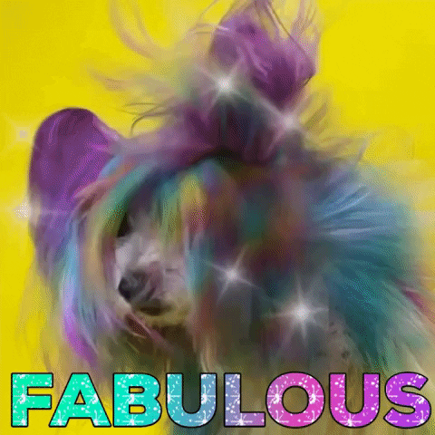 A dog with rainbow hair, with the text 'Fabulous'