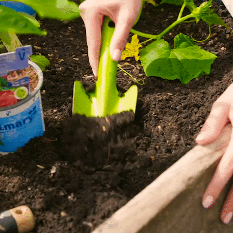 A person is digging soil with a shovel