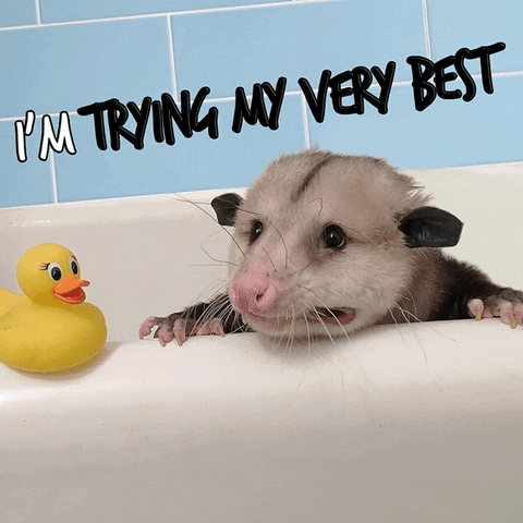 Animal in a bathtub with a rubber duck saying I'm trying my very best.