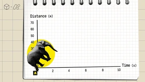A graph depicting the average speed in meters per second of an elephant. An elephant walks along the graph. 
