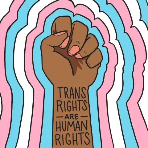 A brown fist with a trans pride flag background. A tattoo on the wrist reads, 'Trans rights are human rights'.