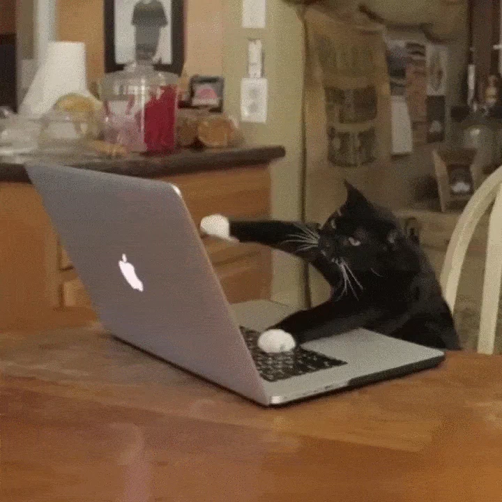 A black and white cat sitting at a dinner table, typing aggressively on an Apple laptop. 