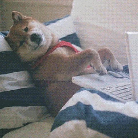  A dog sends an email. The text reads, 