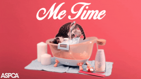 Cat in a bathtub with text that reads 'me time'