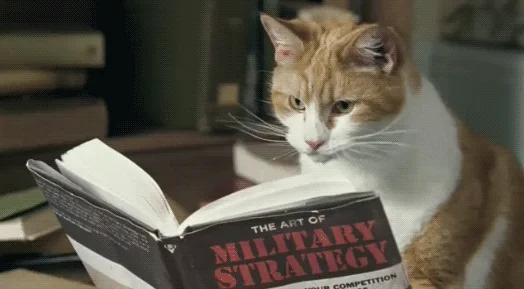 A cat is reading a book called 'The Art of Military Strategy'