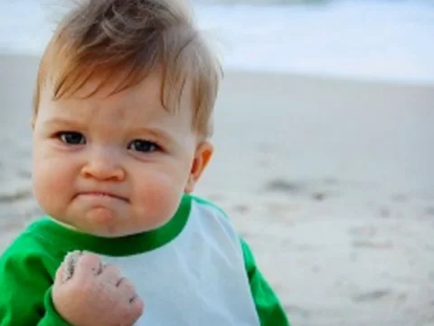 The 