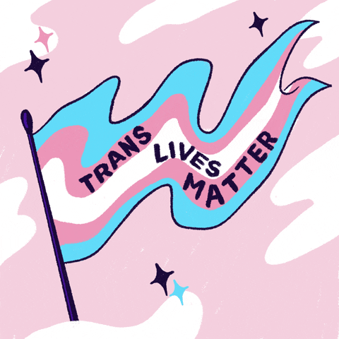 A trans flag with the words 
