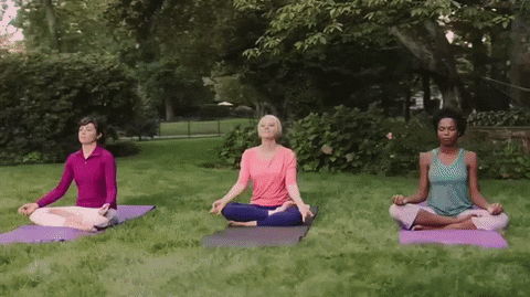 Cast members of Saturday Night Live doing yoga in the park