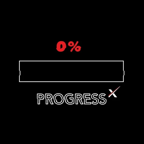 A progress bar fills from 0% to 100%.