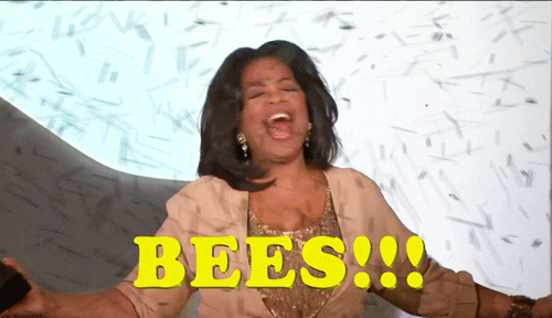 Oprah Winfrey surrounded by swarm of bees, with the caption 'BEES!!!'