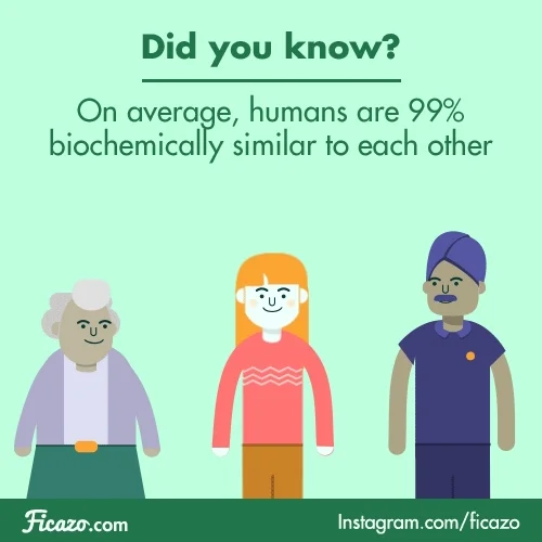 A graphic that explains, 'On average humans are 99% biochemically similar to each other.'