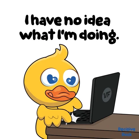A confused cartoon duck typing on a laptop with the caption: “I have no idea what I’m doing.”