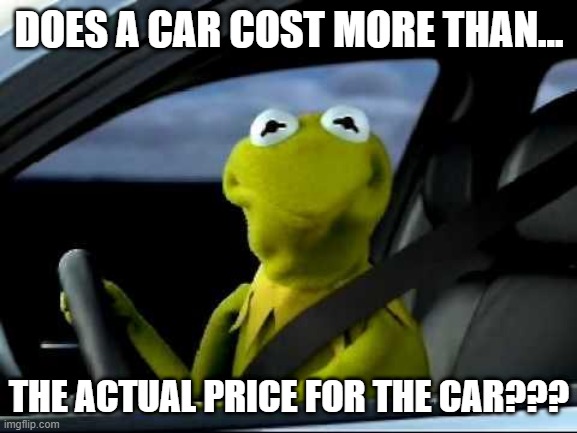 Kermit, the frog, in a car looking out the window asking: Does a car cost more than the actual price for the car?