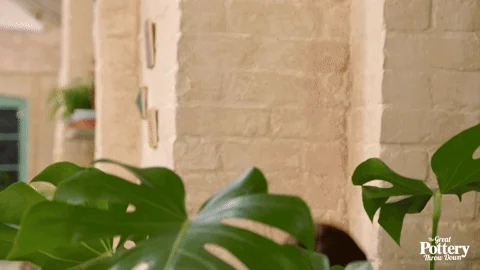 A woman popping up from behind a plant with binoculars.