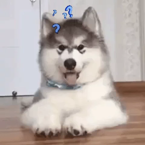 A confused puppy looks around. Animated question marks appear above its head.