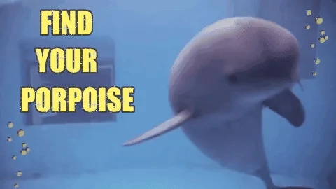 A porpoise dolphin swimming. The text reads: 