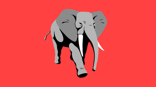 Elephant charging