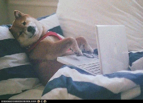 A dog on a couch using a laptop.