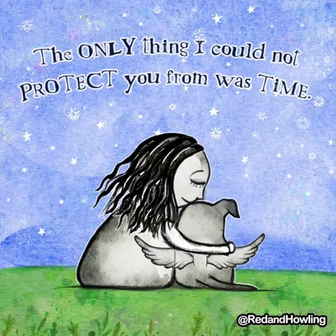 A woman hugging a pet with angel wings. The text reads: 
