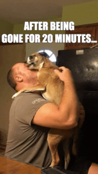 Dog hugging man overlaid with text 
