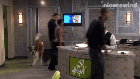 A receptionist greeting a dog at an office.