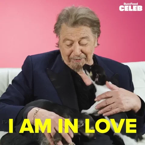 Al Pacino looking at the puppies in his lap. He says, “I am in love.”