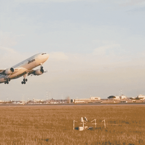 a plane takes off