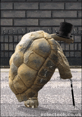 A tortoise walking in a bowler hat and cane