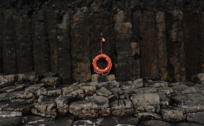 Image for Byte titled 'What is learned helplessness? Do I have it?'