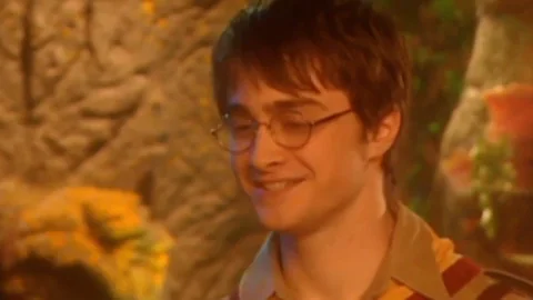 Daniel Radcliffe as Harry Potter saying, 