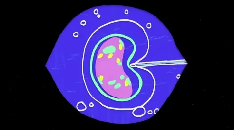 An animation depicting the injection of a liquid into a cell that causes rapid cell division.
