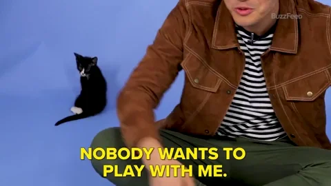 A man jokes with a cat that ignores him. The man says, 'Nobody wants to play with me.'