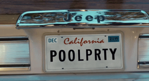 pool party license plate GIF by Lucius